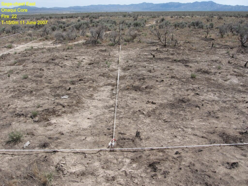 2007: 1 year post-treatment