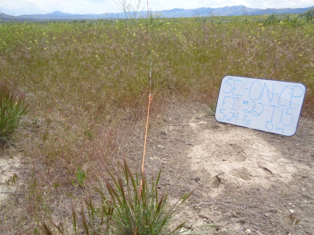 2016: 10 years post-treatment