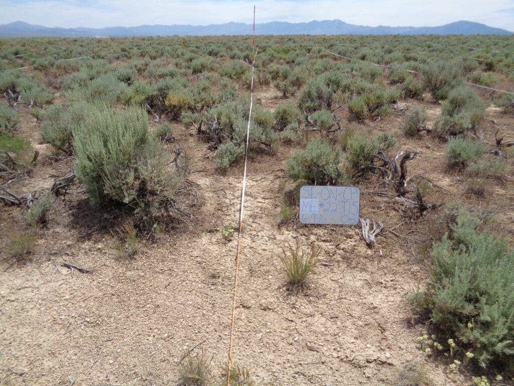 2016: 10 years post-treatment