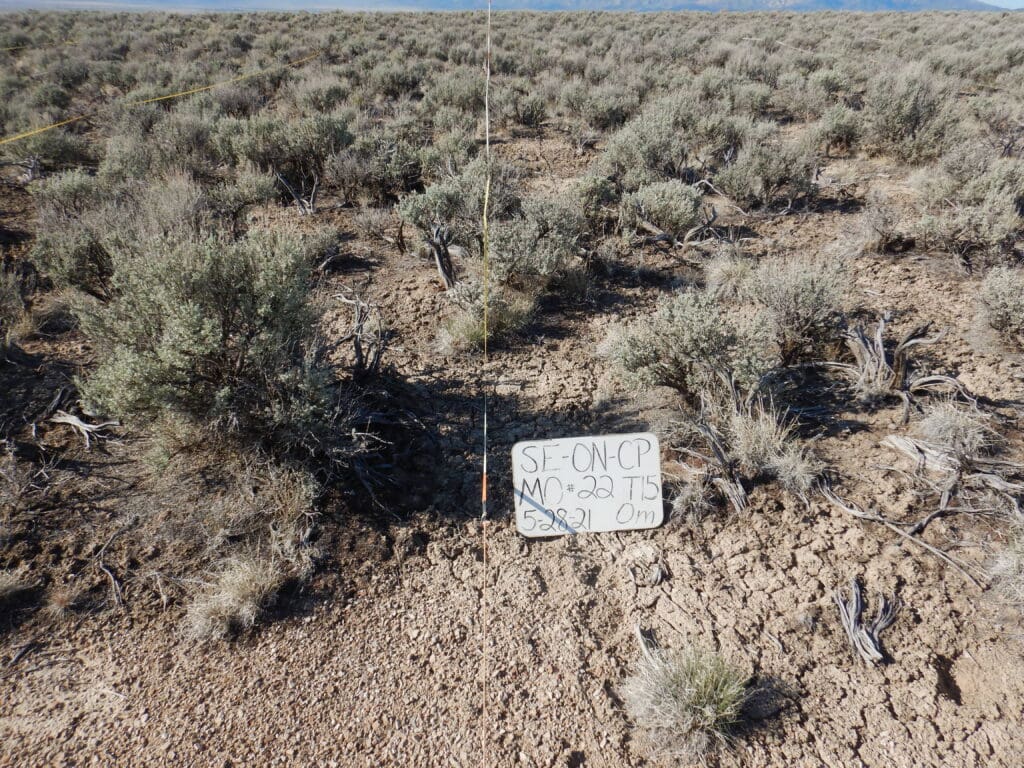 2021: 15 years post-treatment