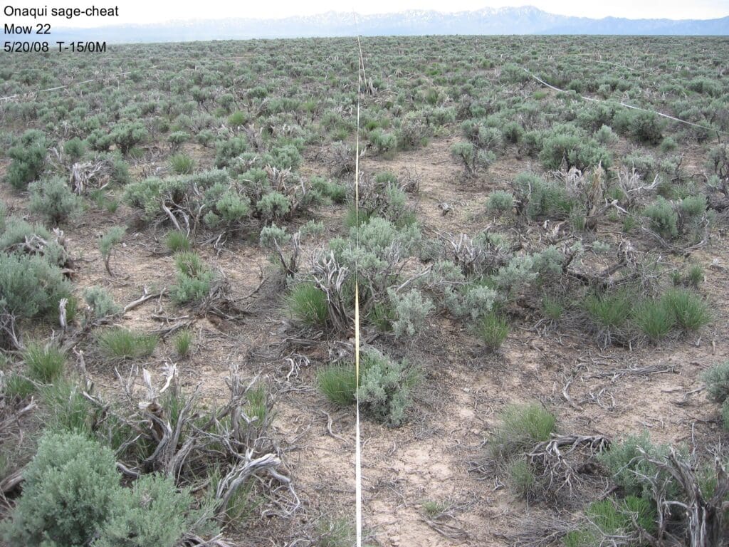 2008: 2 years post-treatment