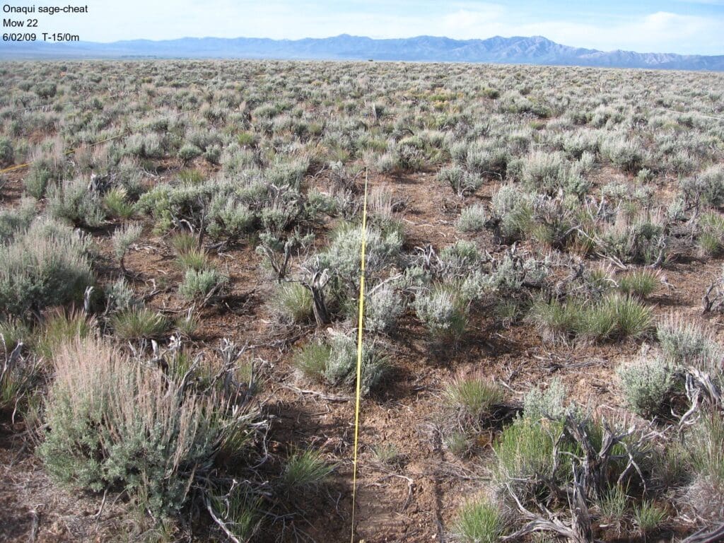 2009: 3 years post-treatment