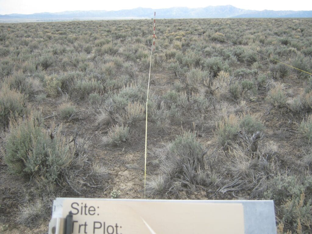 2012: 6 years post-treatment