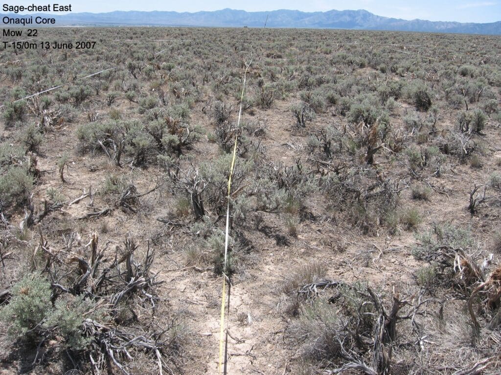 2007: 1 year post-treatment