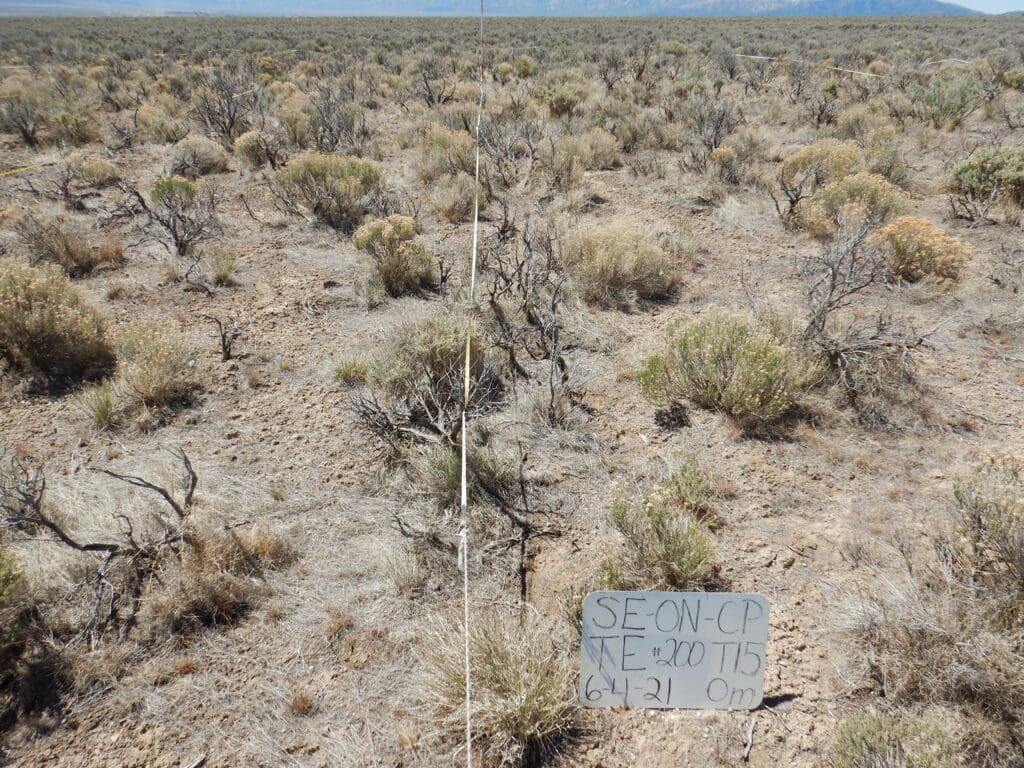 2021: 15 years post-treatment