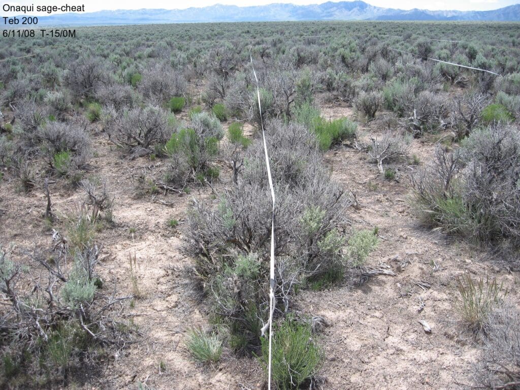 2008: 2 years post-treatment