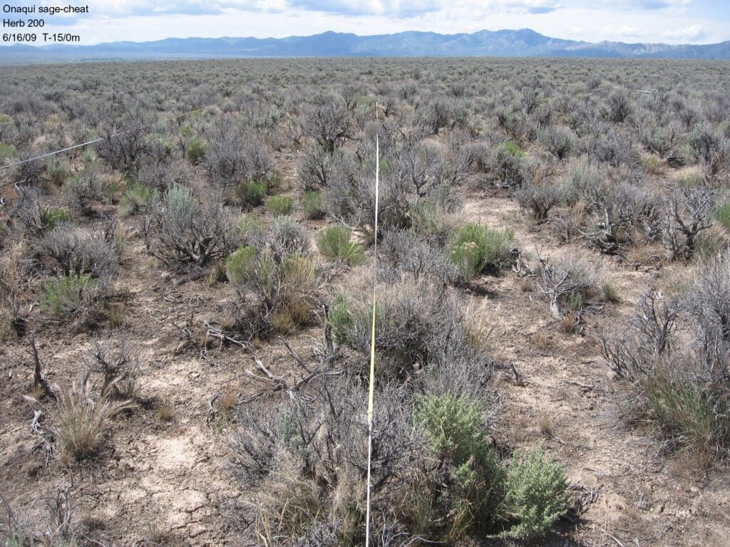 2009: 3 years post-treatment