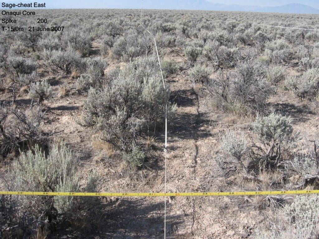 2007: 1 year post-treatment