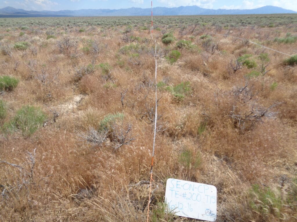 2016: 10 years post-treatment