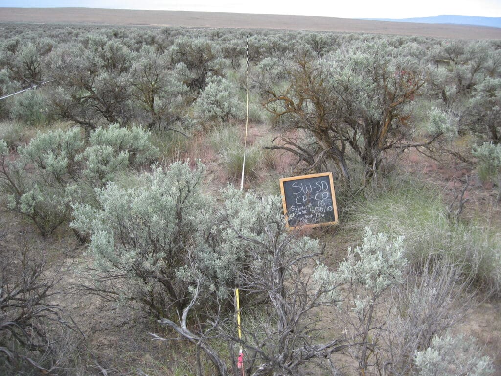 2010: 2 years post-treatment