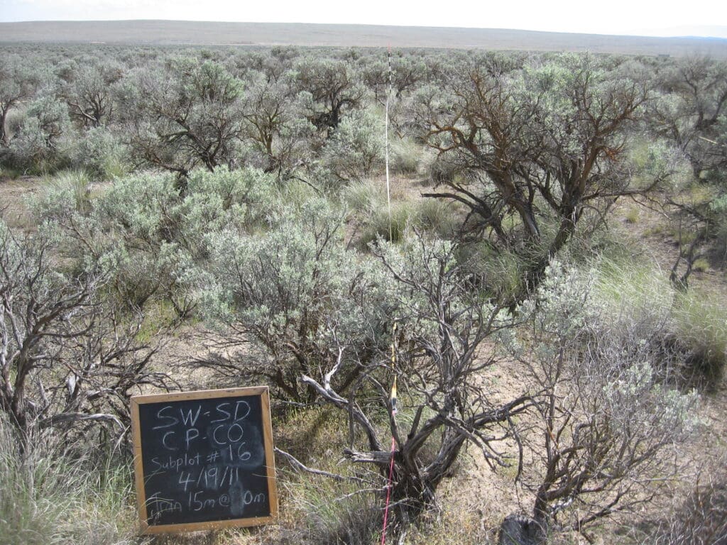 2011: 3 years post-treatment