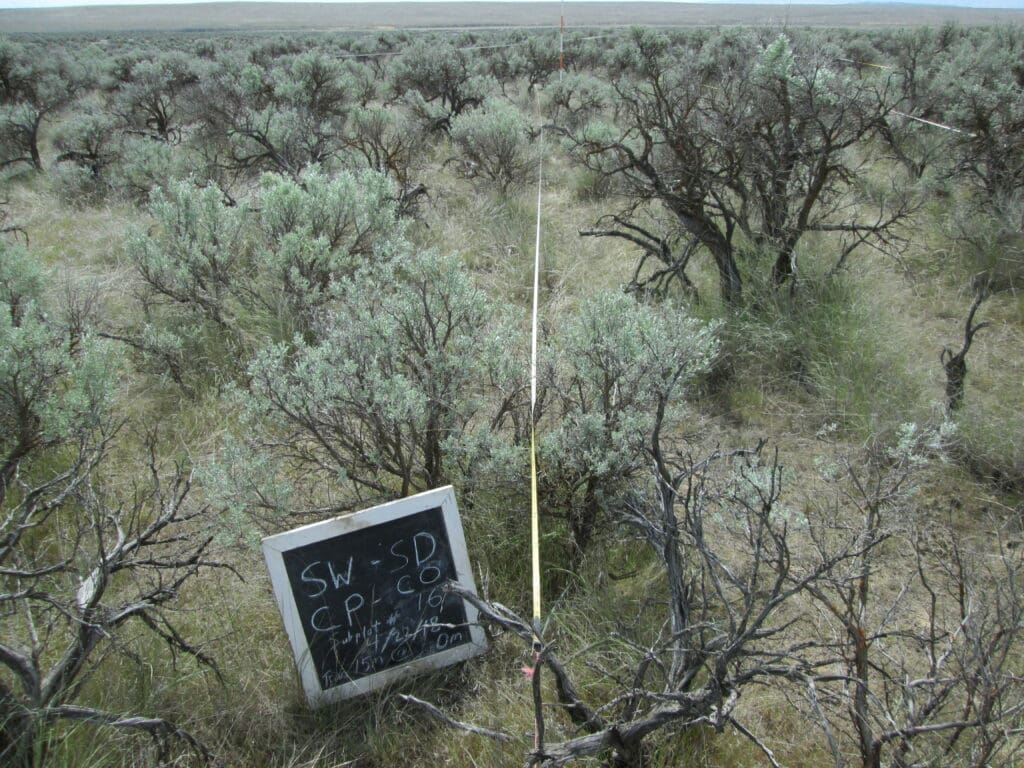 2018: 10 years post-treatment