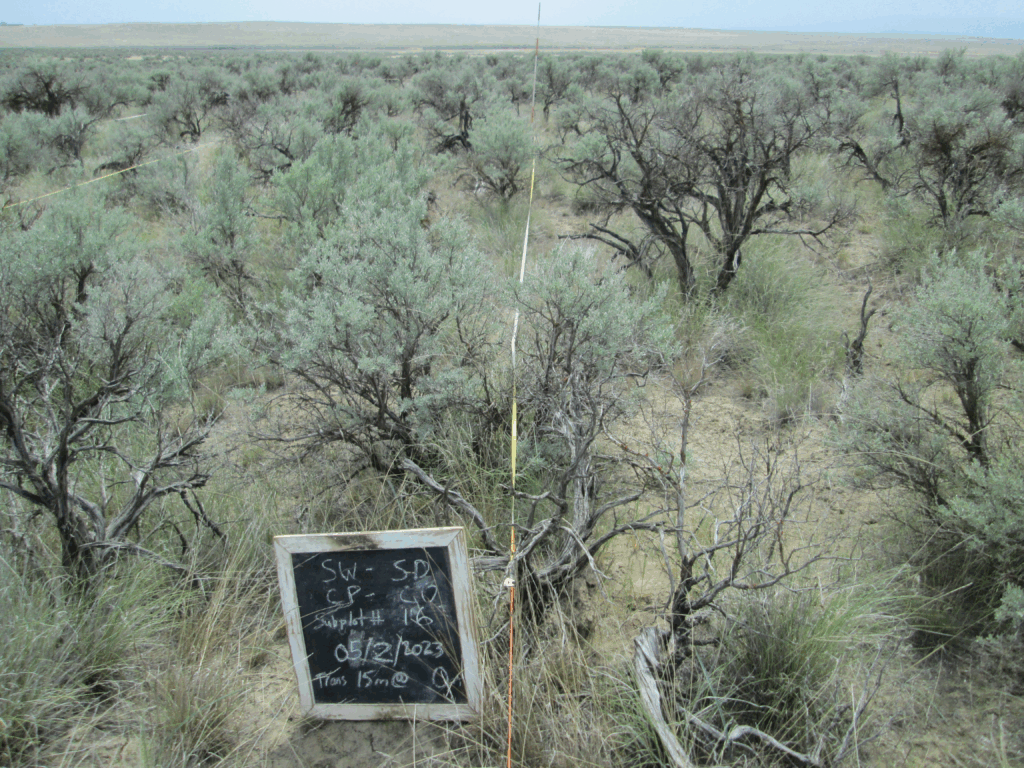 2023: 15 years post-treatment 