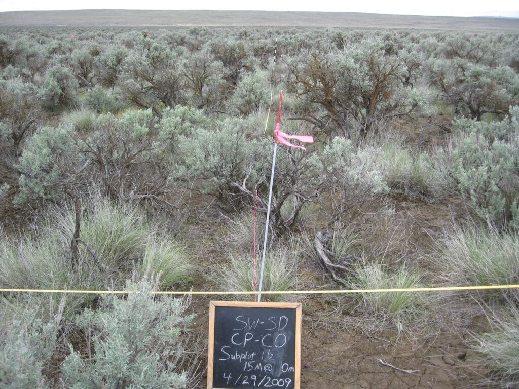 2009: 1 year post-treatment