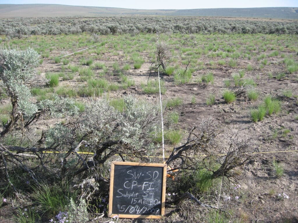 2009: 1 year post-treatment