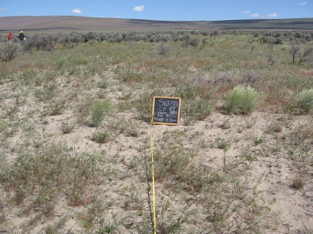 2010: 2 years post-treatment 