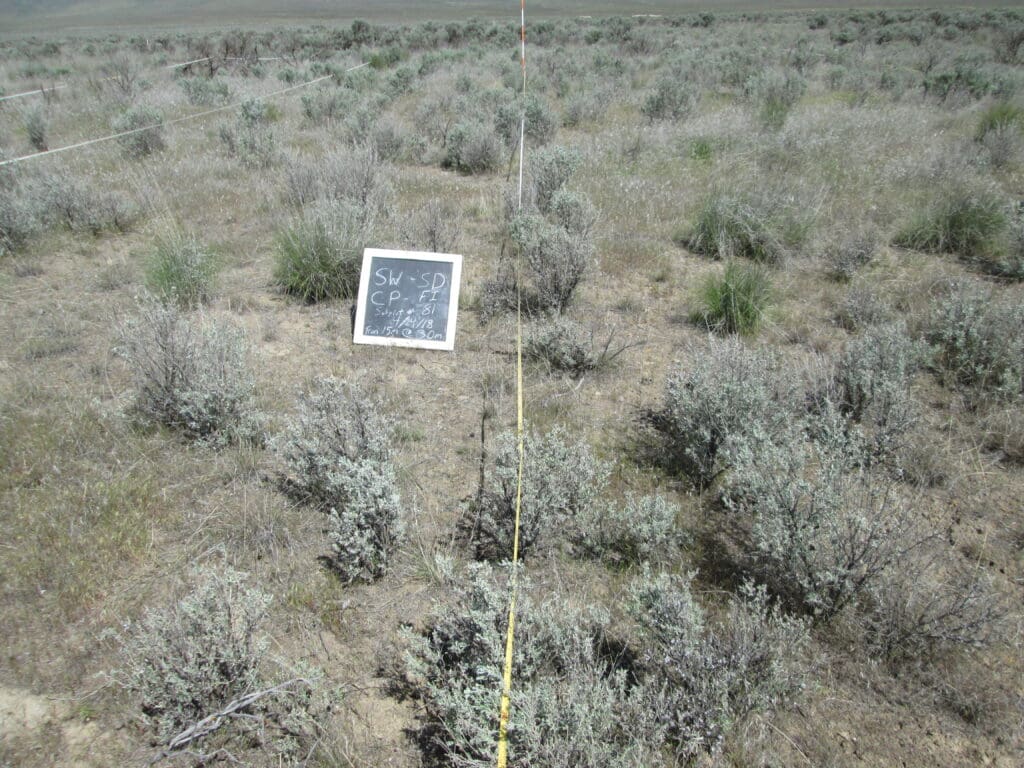 2018: 10 years post-treatment 