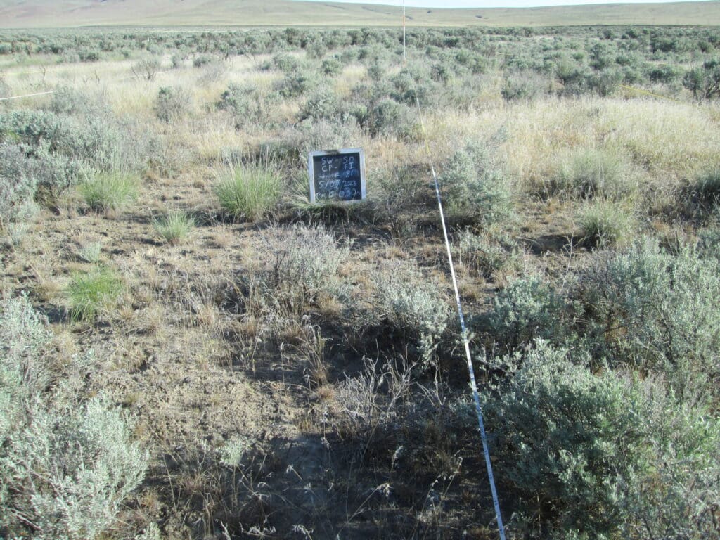 2023: 15 years post-treatment 