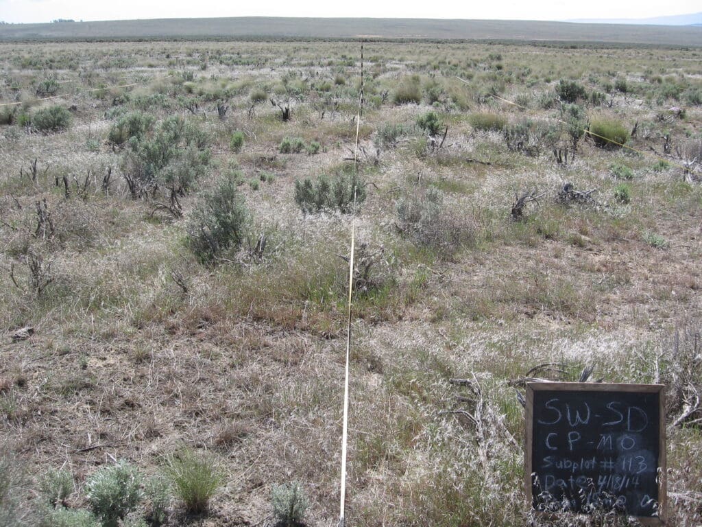 2014: 6 years post-treatment