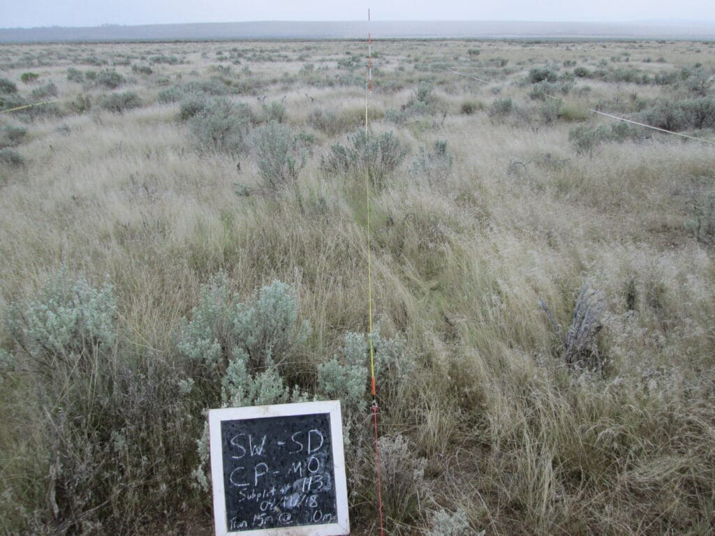 2018: 10 years post-treatment