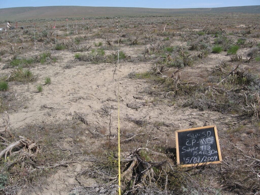 2009: 1 year post-treatment