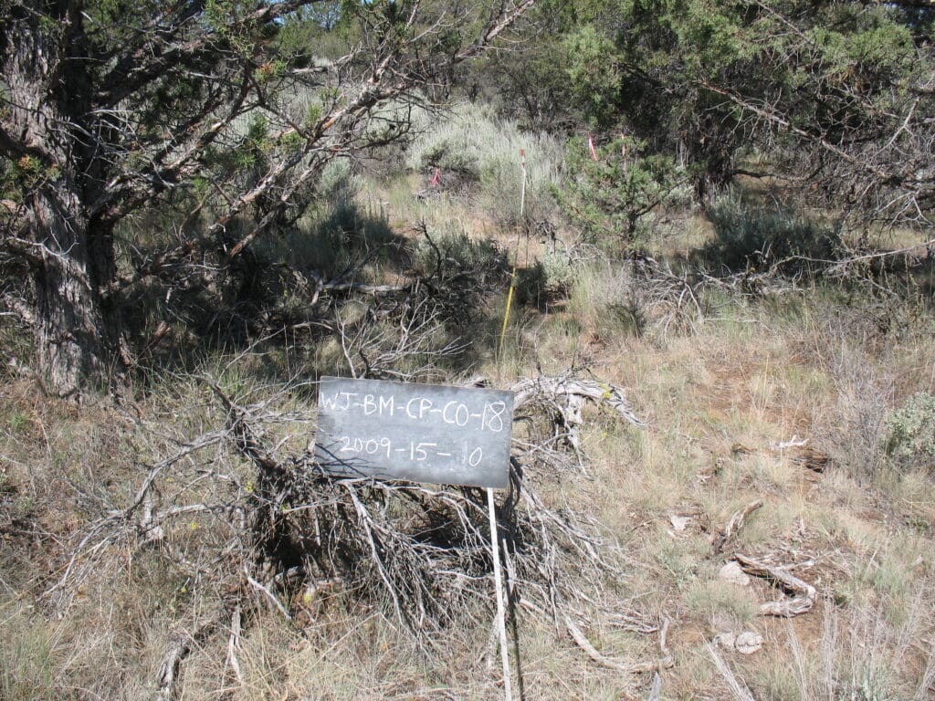 2009: 2 years post-treatment