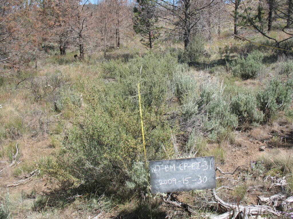 2009: 2 years post-treatment