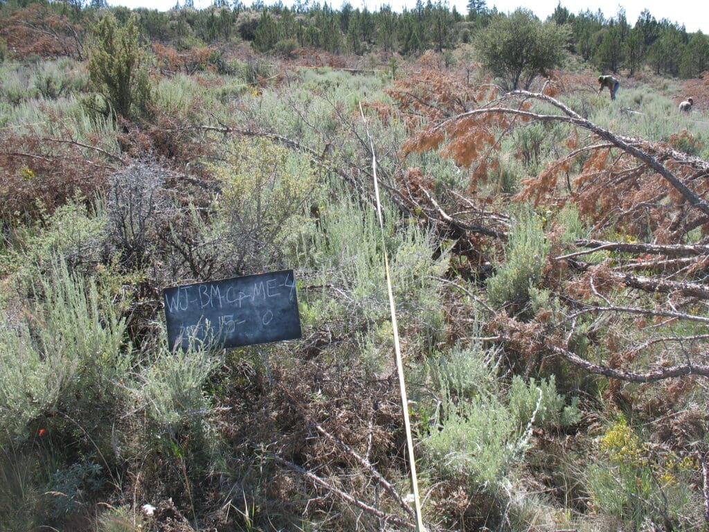 2009: 2 years post-treatment