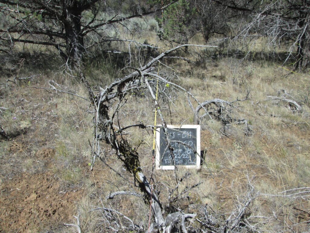 2022: 15 years post-treatment