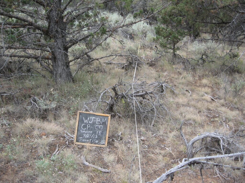 2013: 6 years post-treatment 