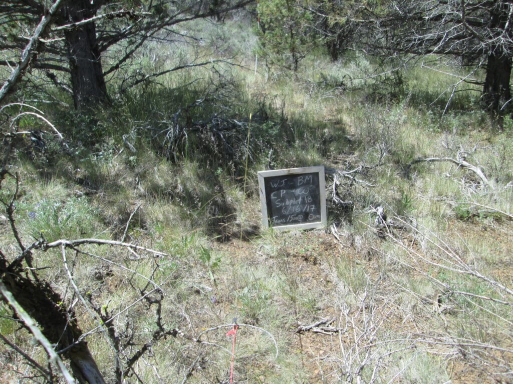 2017: 10 years post-treatment 