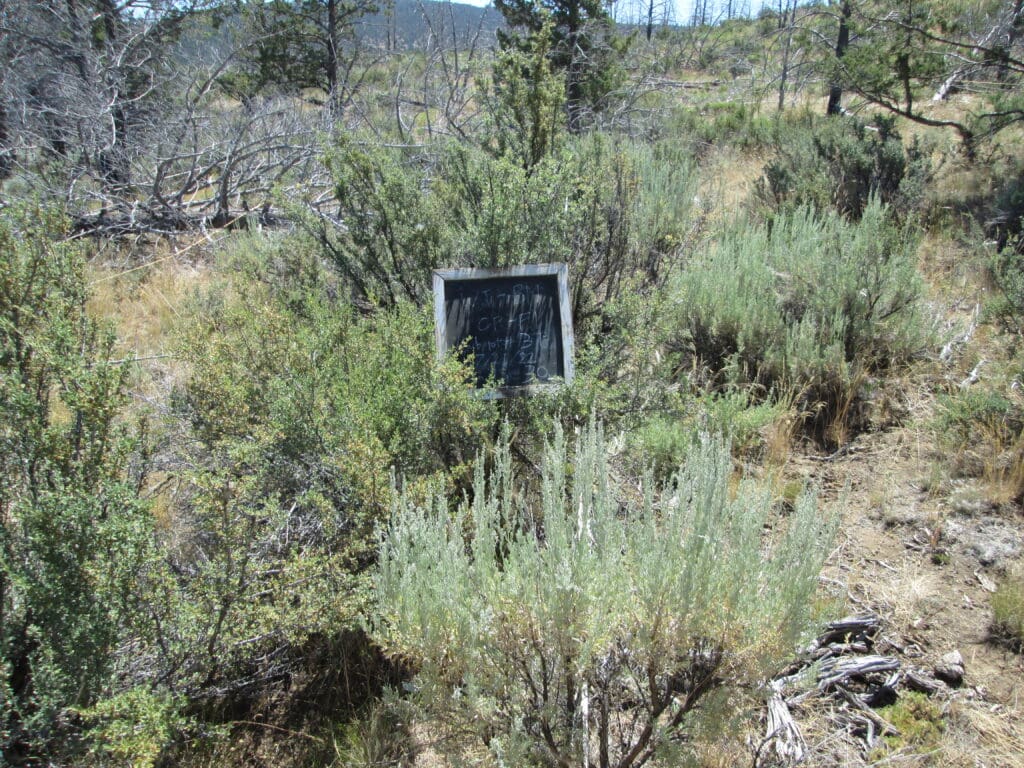 2022: 15 years post-treatment