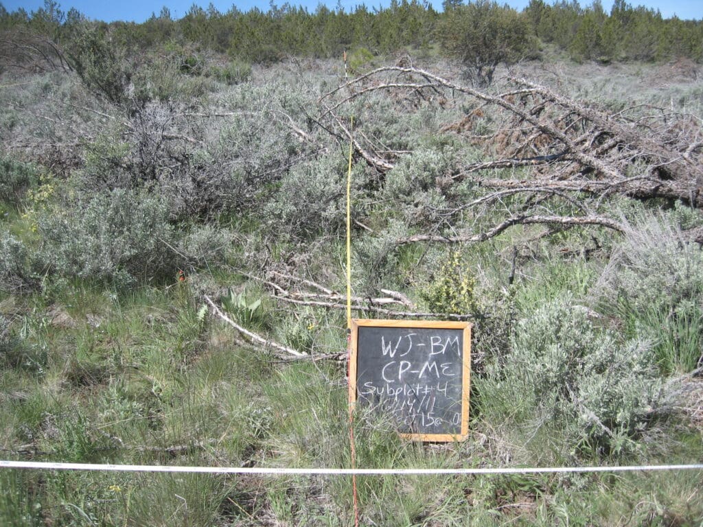 2011: 4 years post-treatment