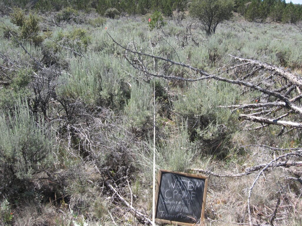 2013: 6 years post-treatment