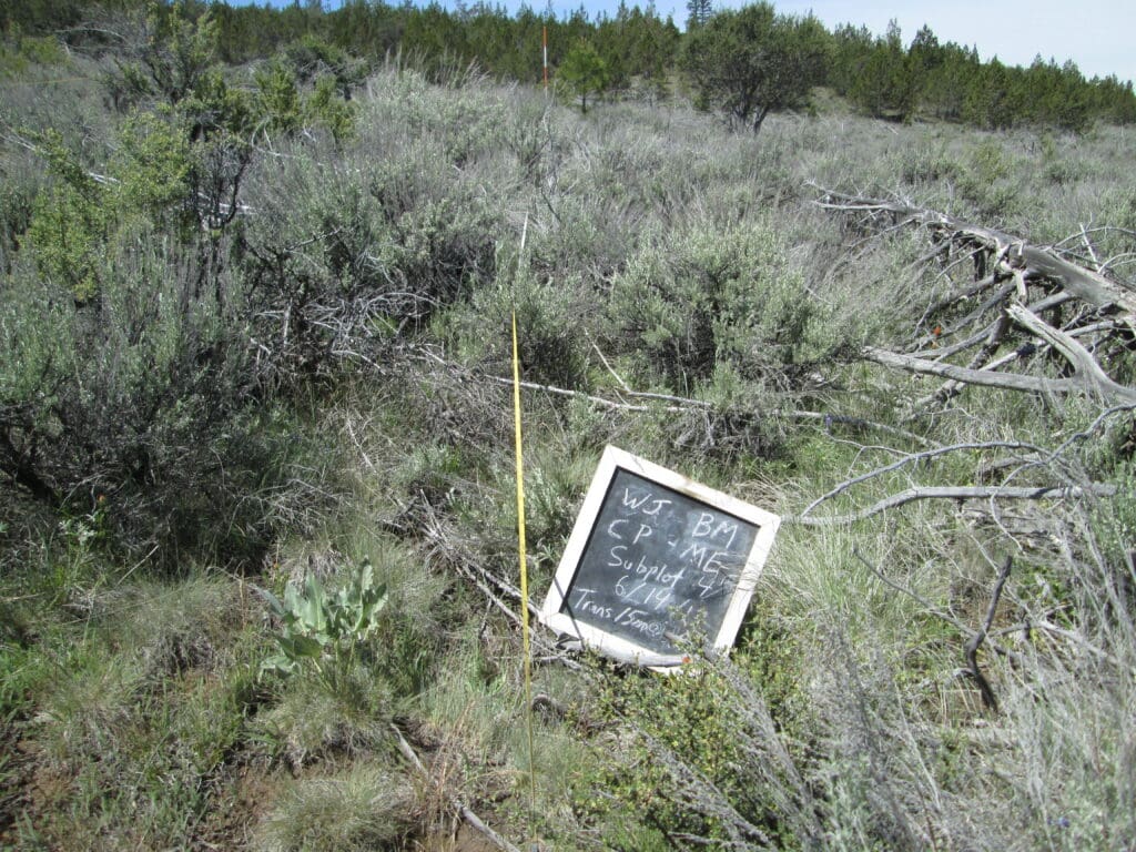 2017: 10 years post-treatment