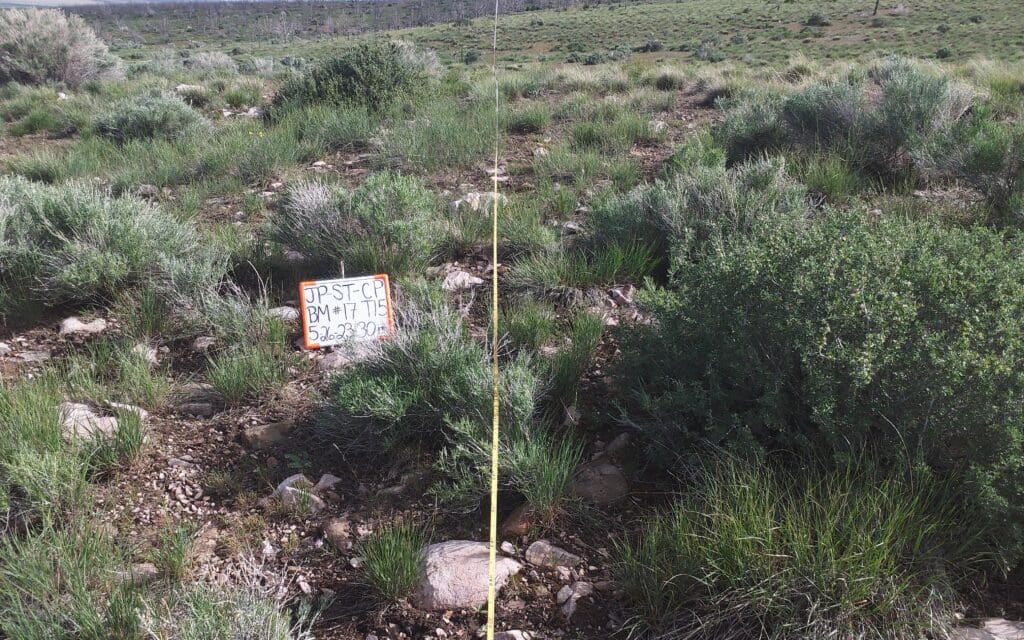 2023: 16 years post-treatment <br / >
14 years post-wildfire