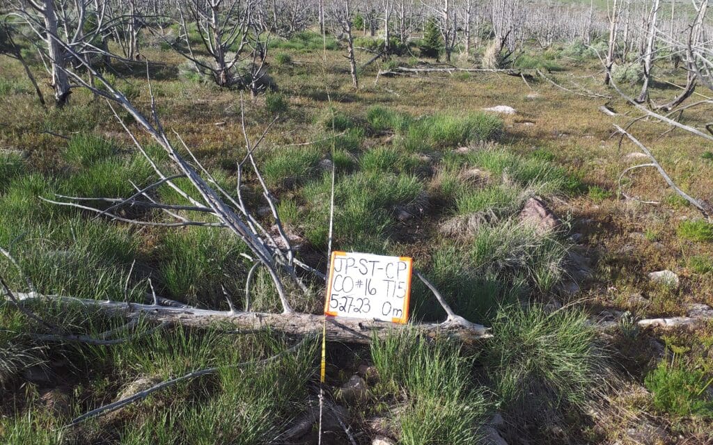 2023: 16 years post-treatment <br /> 14 years post-wildfire 