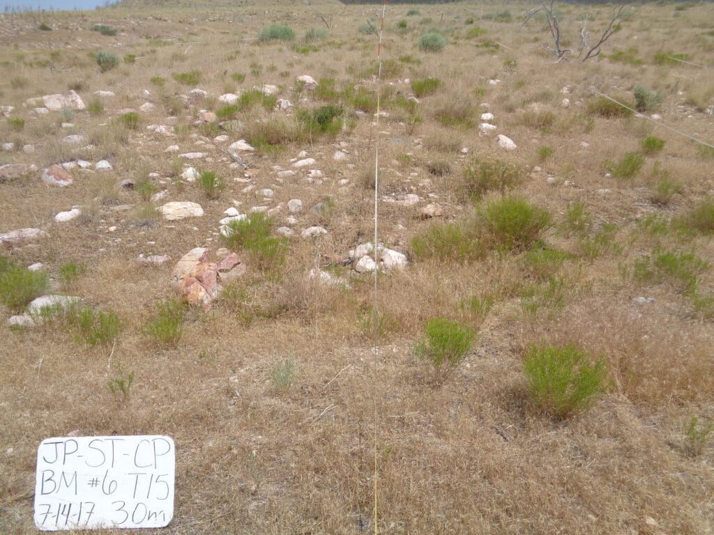 2017: 10 years post-treatment <br / >
8 years post-wildfire