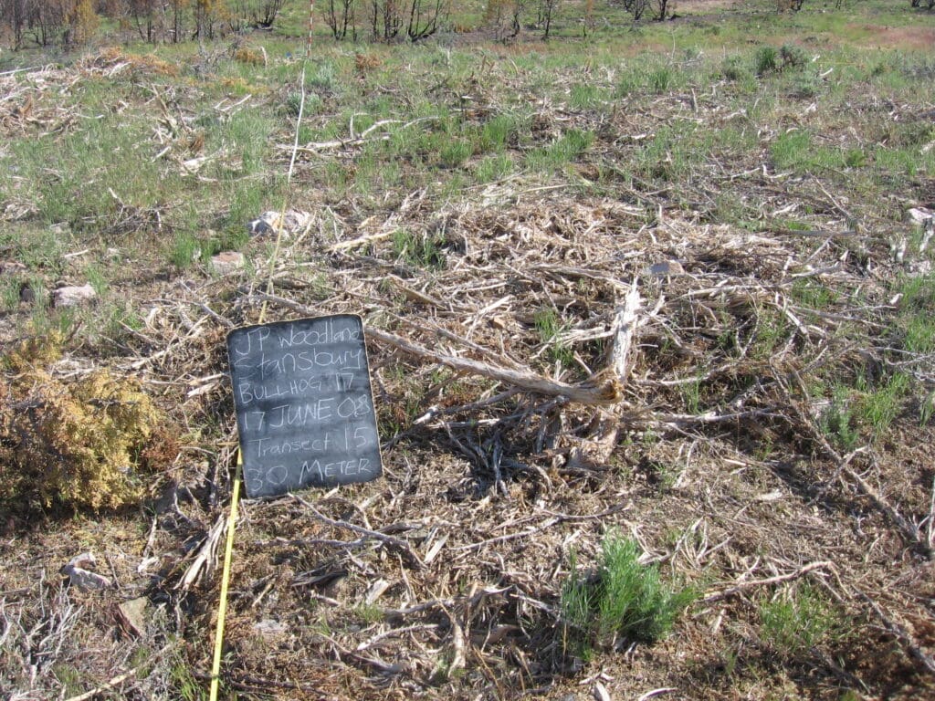 2008: 1 year post-treatment