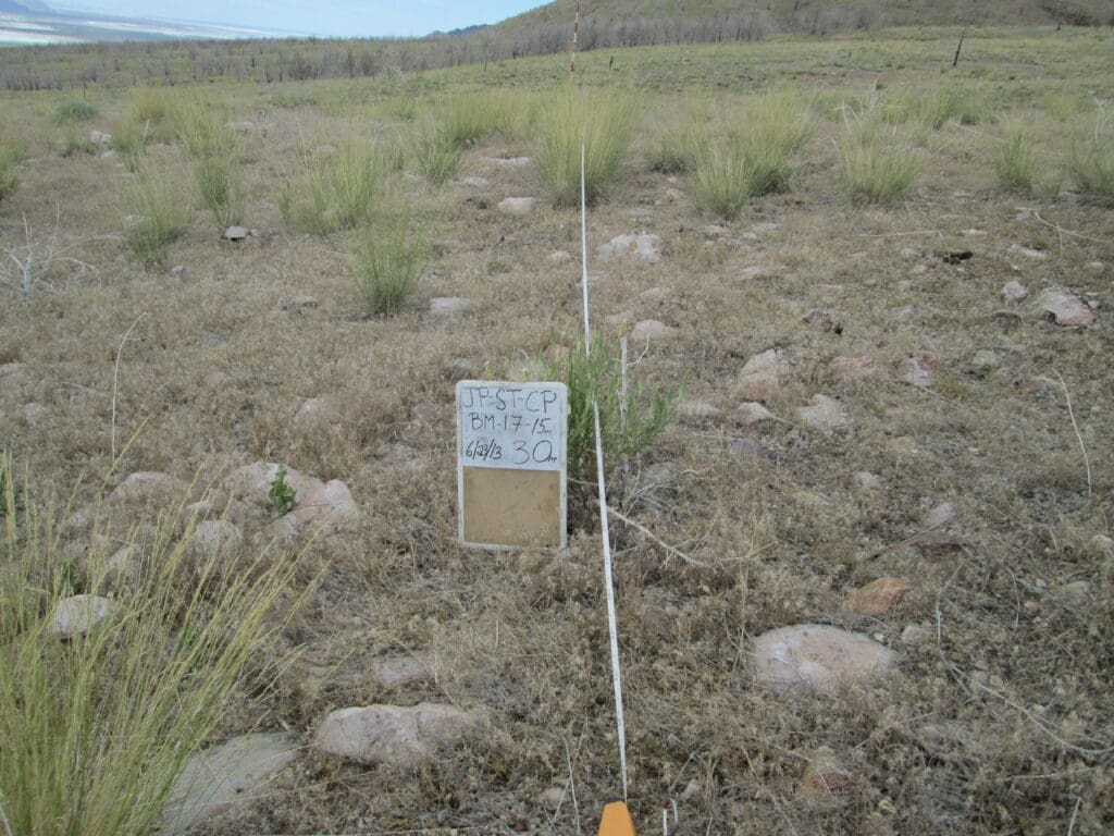 2013: 6 years post-treatment <br / >
4 years post-wildfire