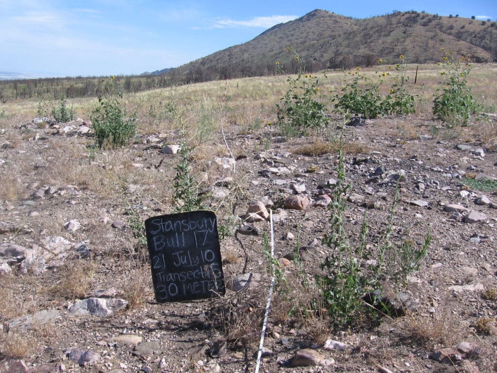 2010: 3 years post-treatment <br / >
1 year post-wildfire