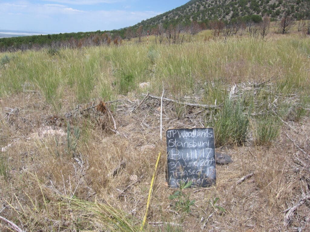 2009: 2 years post-treatment