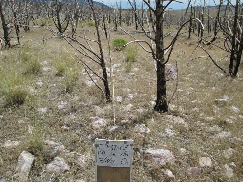 2013: 6 years post-treatment <br />
4 years post-wildfire