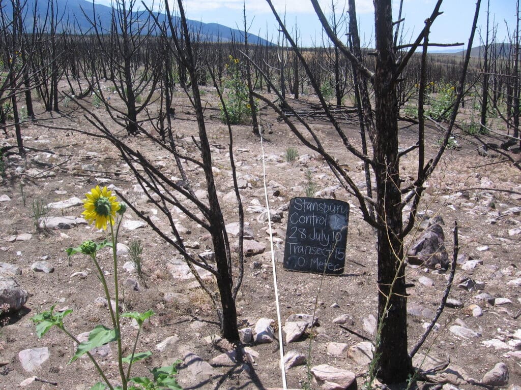 2010: 3 years post-treatment <br />
1 year post-wildfire