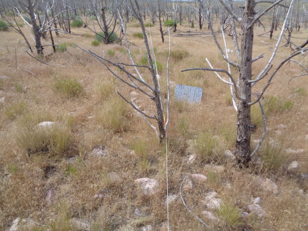 2017: 10 years post-treatment <br />
8 years post-wildfire