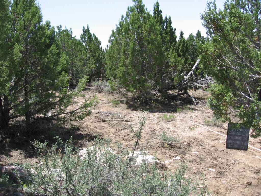 2008: 1 year post-treatment