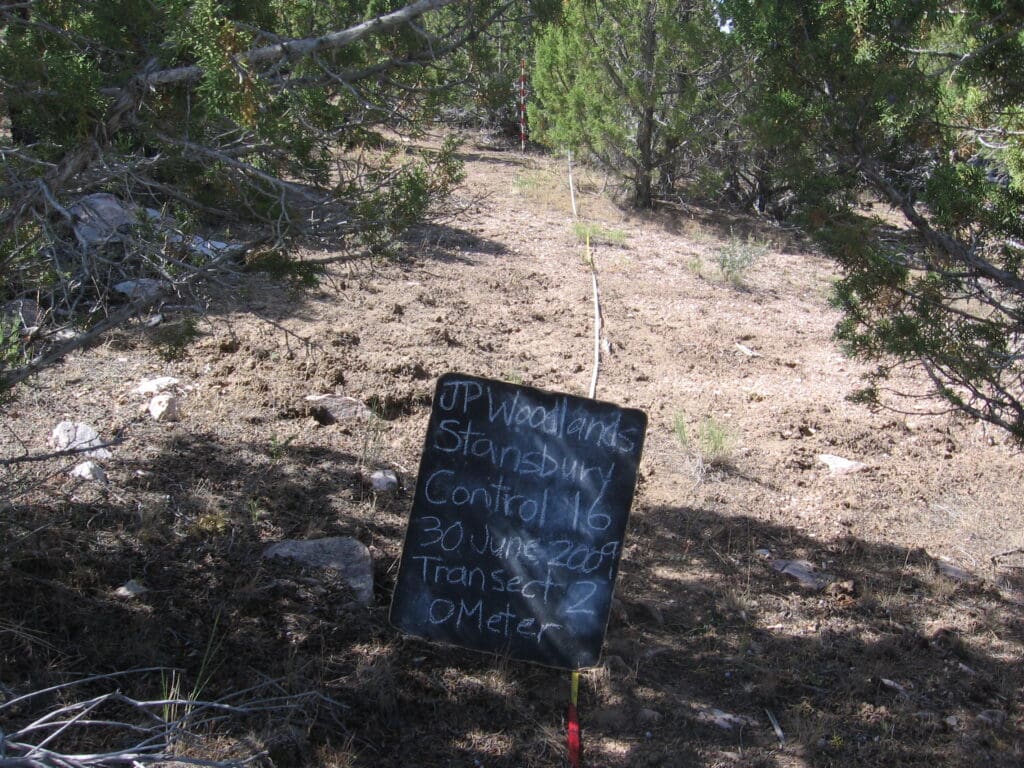 2009: 2 years post-treatment