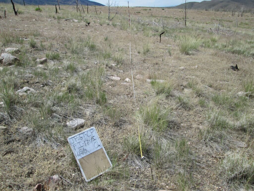 2013: 6 years post-treatment <br />
4 years post-wildfire