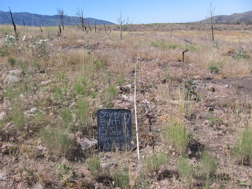 2010: 3 years post-treatment <br />
1 year post-wildfire