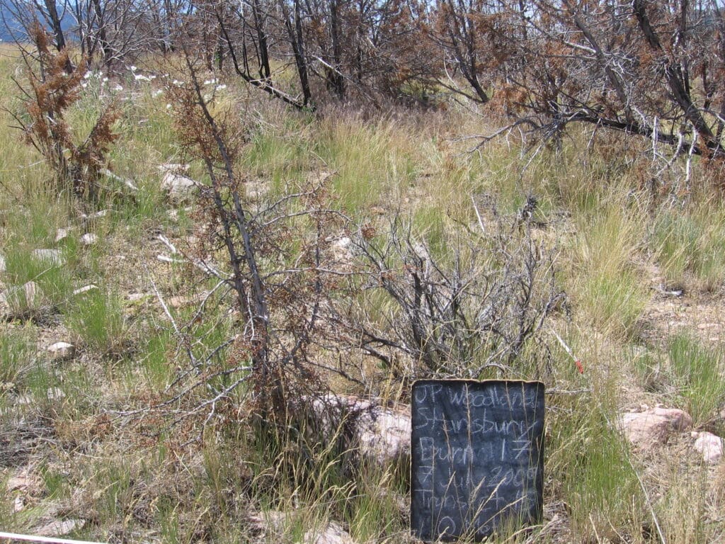 2009: 2 years post-treatment